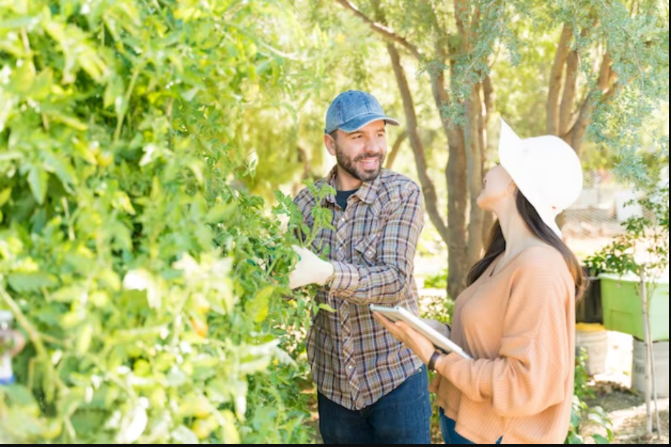 Comprehensive Training Course for Arborists and Tree Care Specialists"