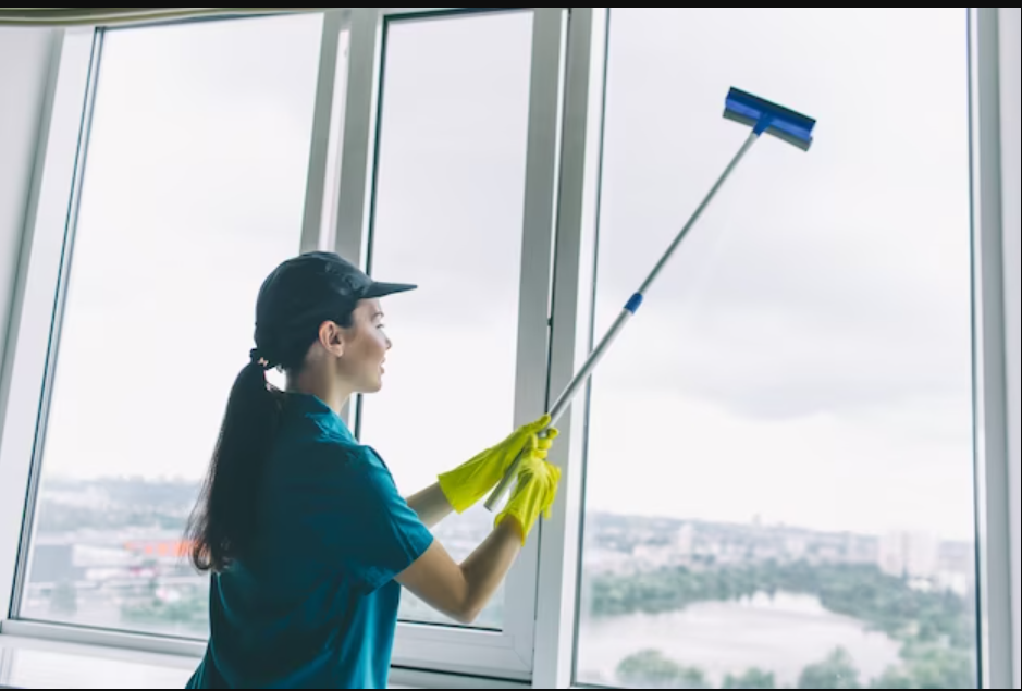 Mastering the Art of Window Cleaning